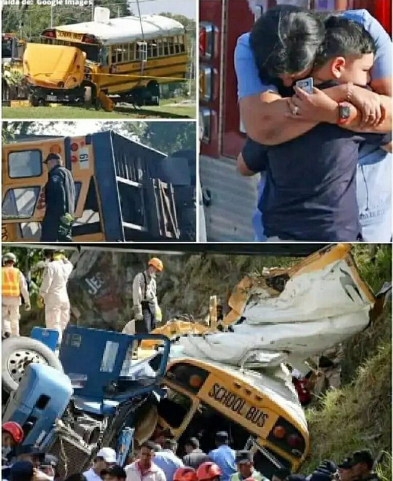 🖤National Mourning😭School bus accident: 32 children lost… See more